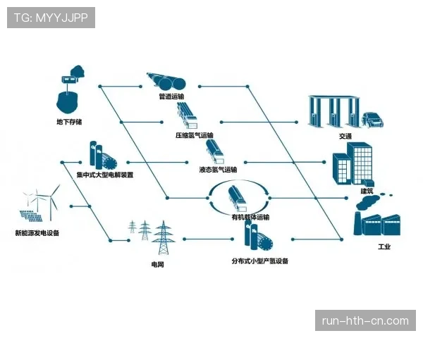 巴尔科拉状态起伏的根源与提升路径解析